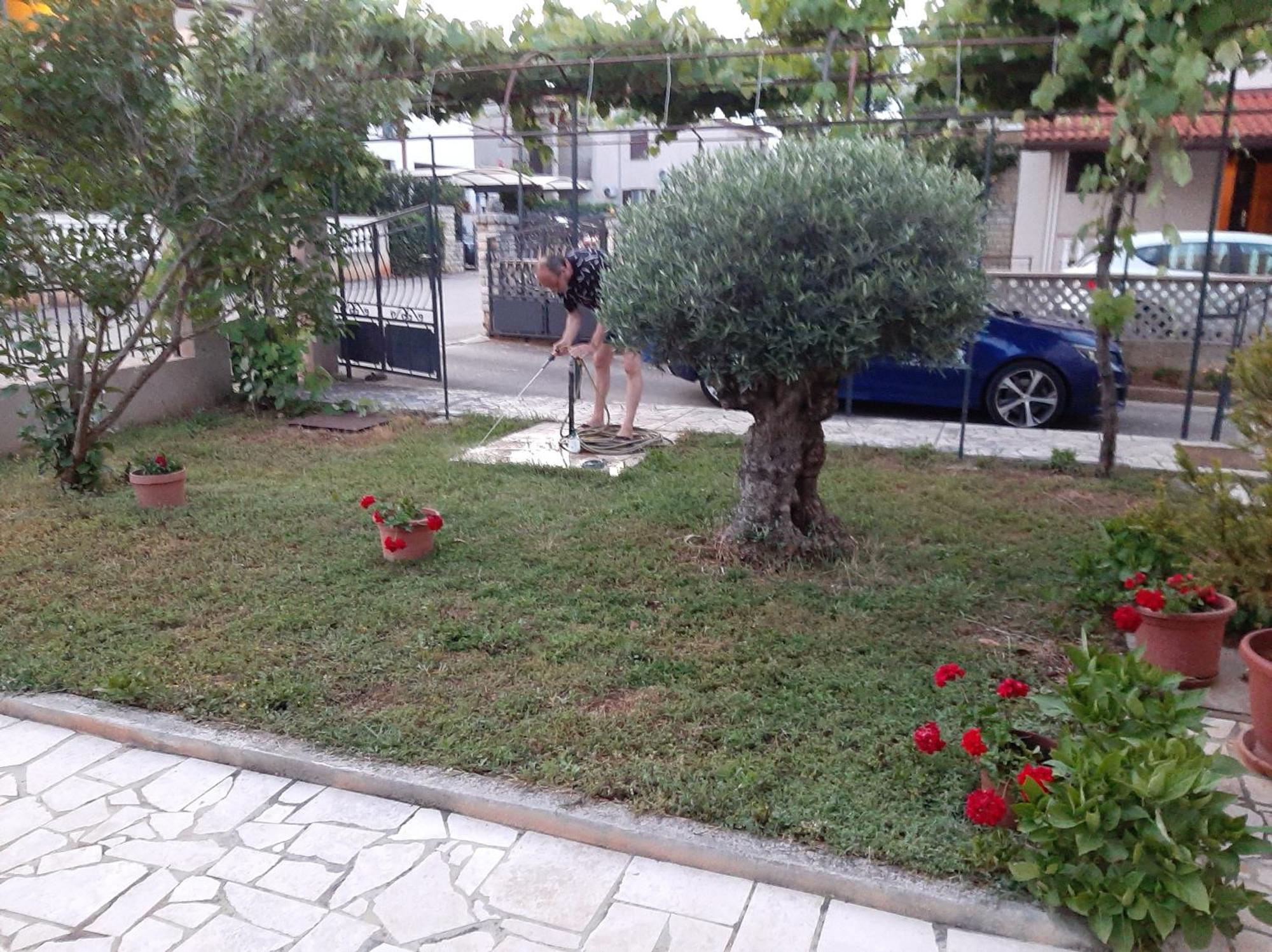 רוביני Apartment Stefania חדר תמונה