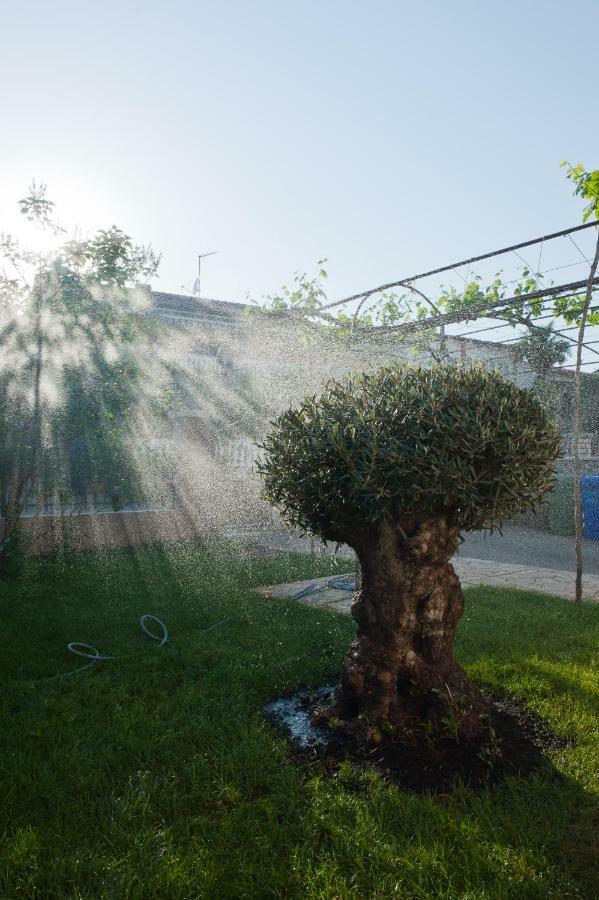 רוביני Apartment Stefania מראה חיצוני תמונה